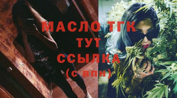 стаф Снежногорск