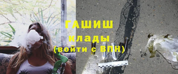 прущий лед Дмитриев