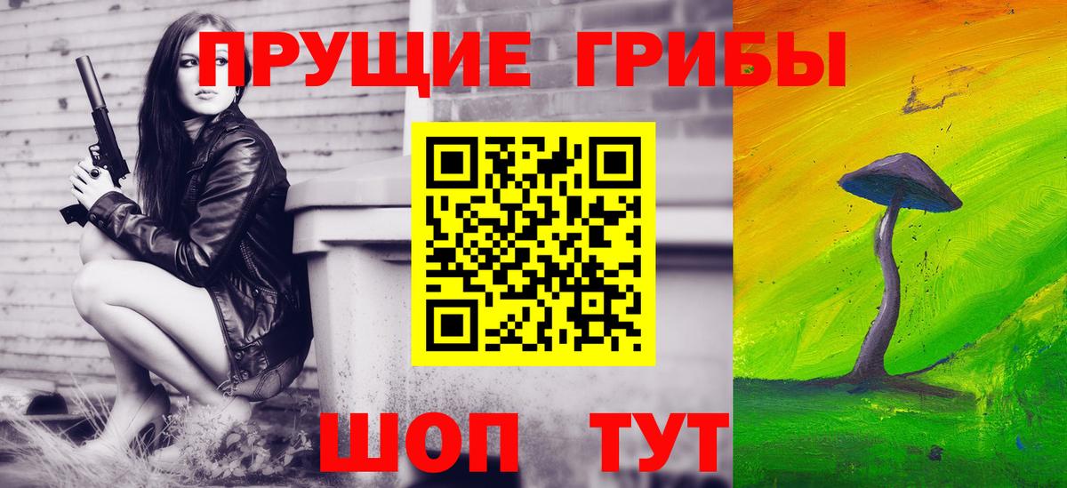 где найти   Вход с VPN  Гагарин  Псилоцибиновые грибы мицелий 