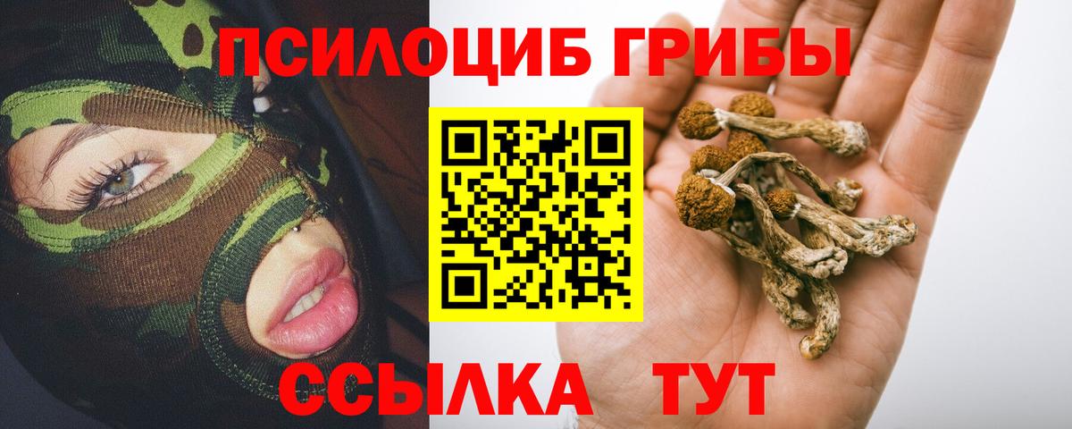 Галлюциногенные грибы Magic Shrooms Гагарин